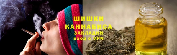 ГАЛЛЮЦИНОГЕННЫЕ ГРИБЫ Бикин