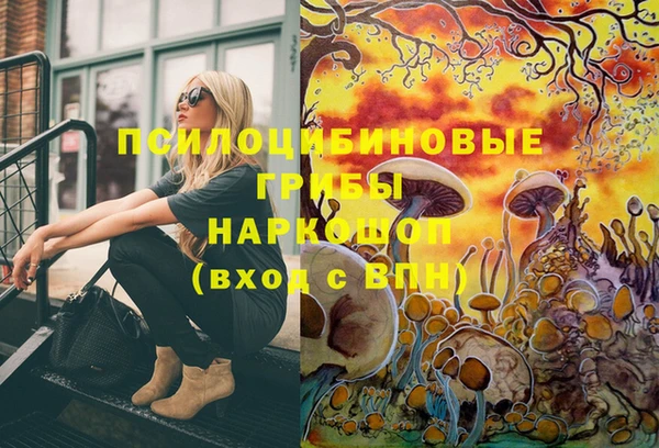 герыч Нягань