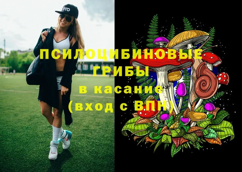 Псилоцибиновые грибы Cubensis Красный Сулин