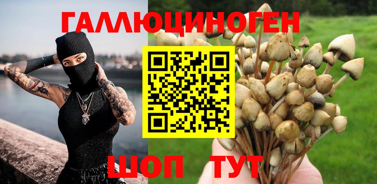 Галлюциногенные грибы ЛСД  закладка  Псилоцибиновые грибы Psilocybine cubensis  Красный Сулин 