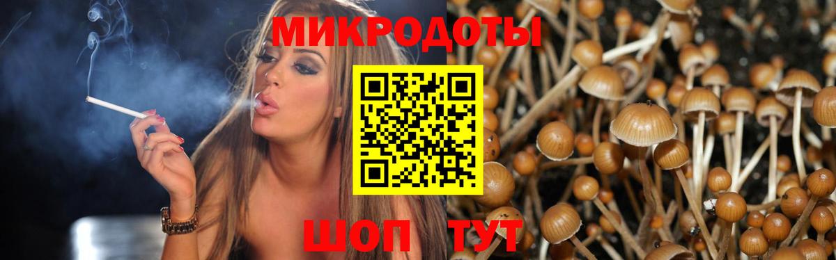 Псилоцибиновые грибы Magic Shrooms  Вход с VPN  Красный Сулин 